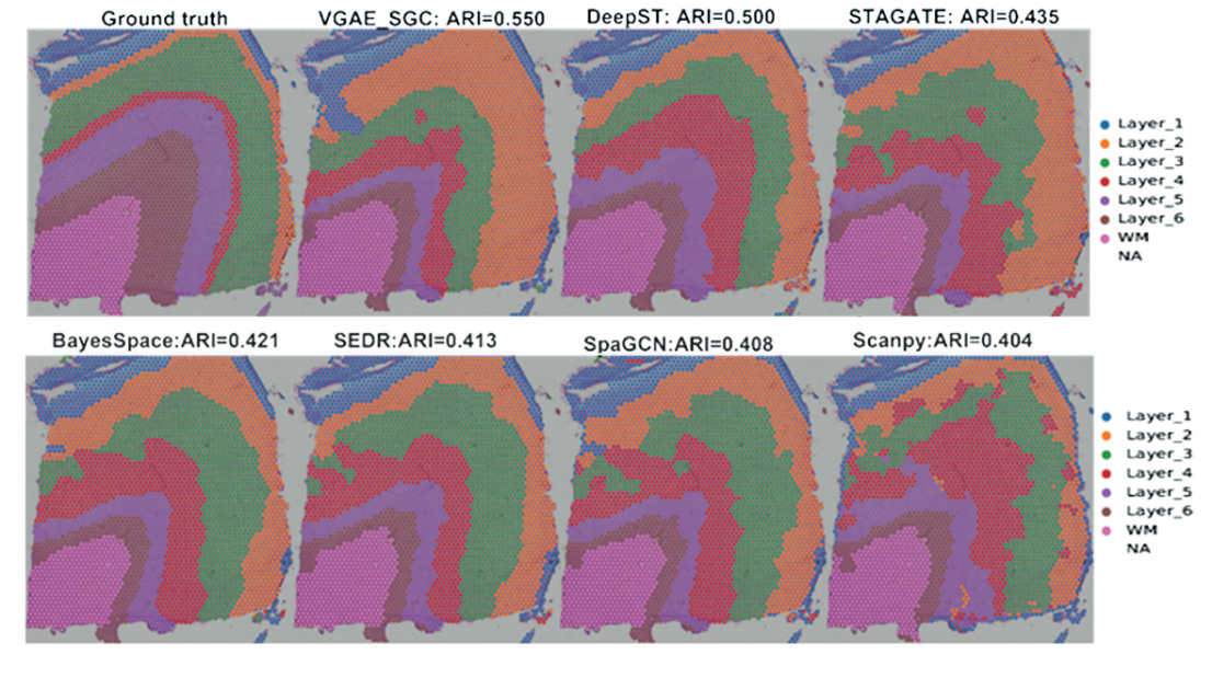 Spatial domain identification results of seven compared methods for spatial transcriptomics